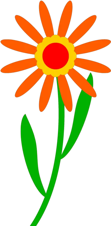Plantflowerchamomile Png Clipart Royalty Free Svg Png Pensions Regulator Chamomile Png
