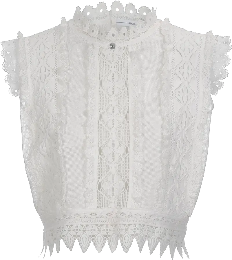 Lust For Sleeveless Top In Ribbon Lace And Mesh Crochet Png Lace Pattern Png