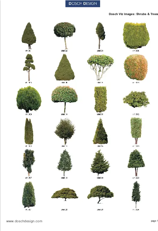 Dosch Design Dosch 2d Vizimages Shrubs U0026 Trees American Larch Png Shrubs Png