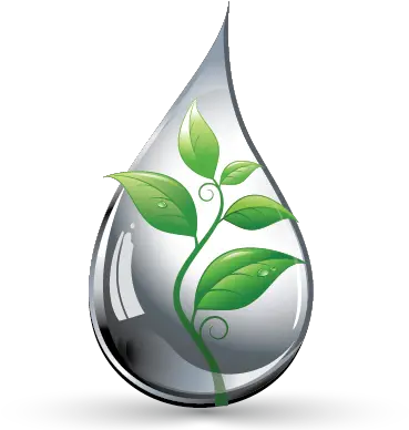 Create A Logo Free Drop Leaf Logo Template Water Drop Leaf Logo Png Leaf Logos