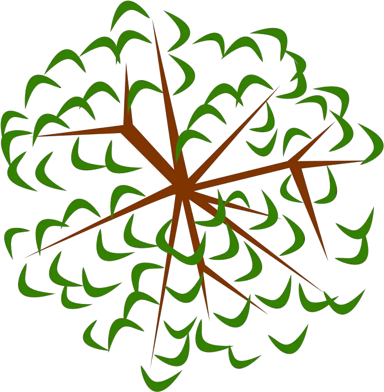 Tree 12e Tree Clipart From Above Transparent Cartoon Tree Clipart From Above Png Tree From Above Png png