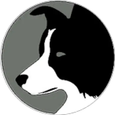 Carolina Border Collie Rescue Border Collie Dog Logo Png Border Collie Png png