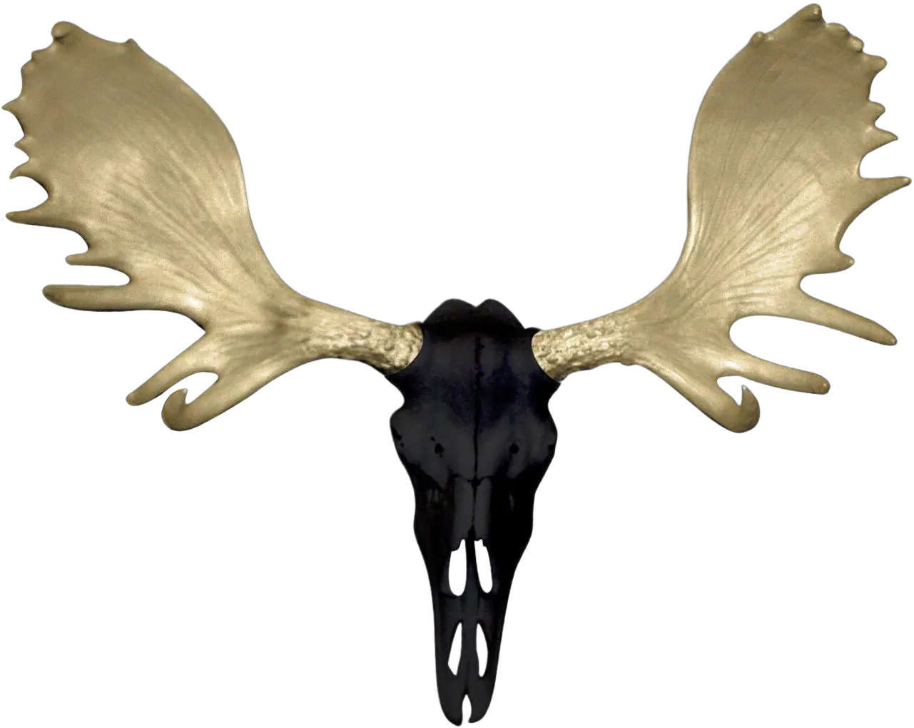 Moose Silhouette Png Antler 3489895 Vippng Antler Antler Png