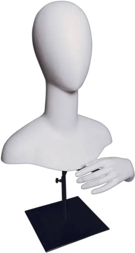 Head And Hand Display U2014 Bernstein Png Mannequin