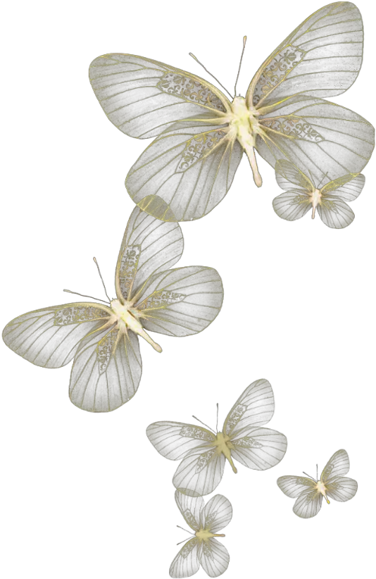 Download Butterfly Wing Moth Fly Sky Yellow Glitter Wind Clear Background Butterfly Png Transparent Butterfly Wing Png png