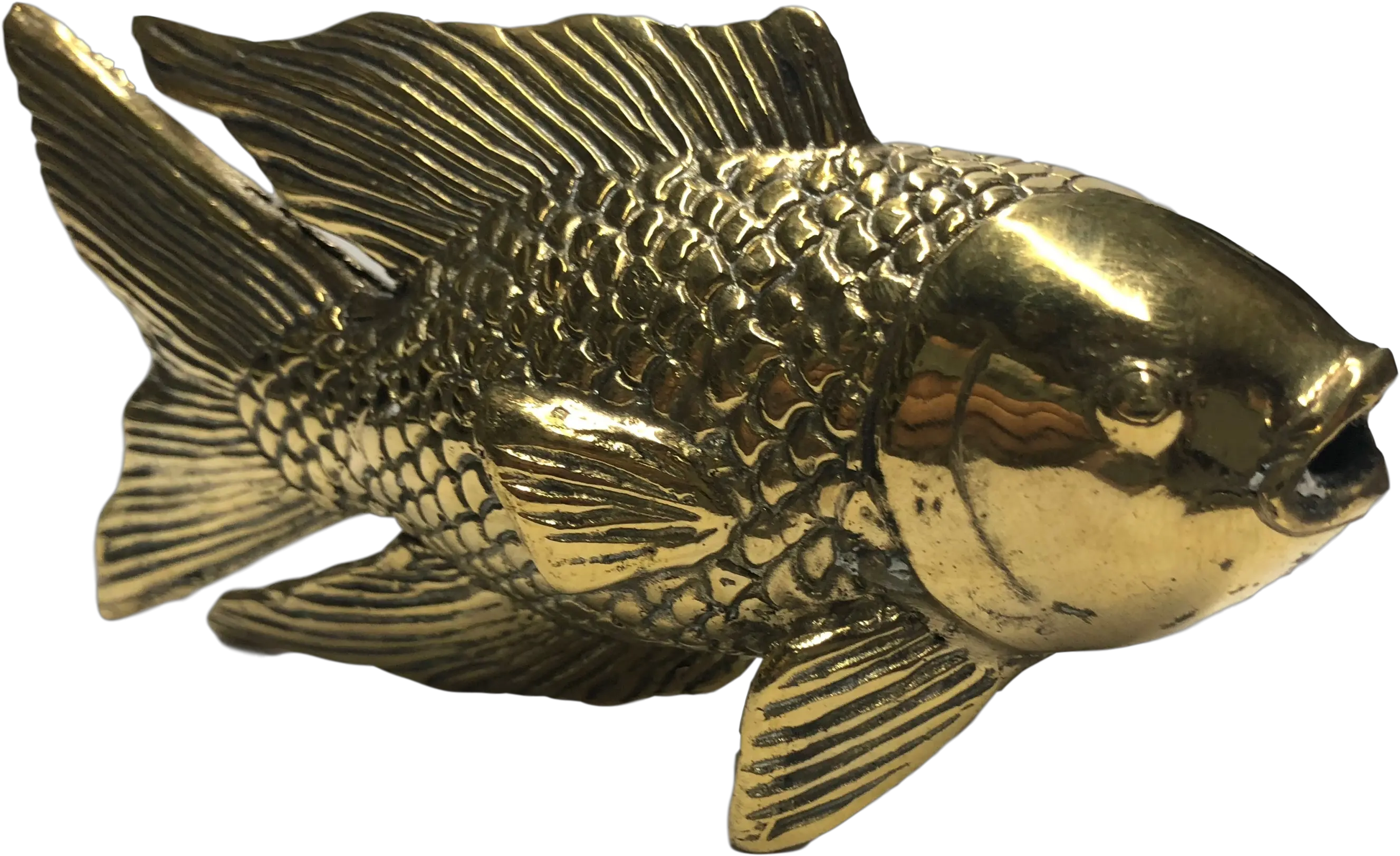 Golden Koi Fish Swellfish Png Koi Fish Png