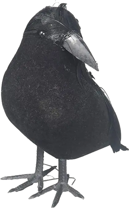 Crow Png Free Pic