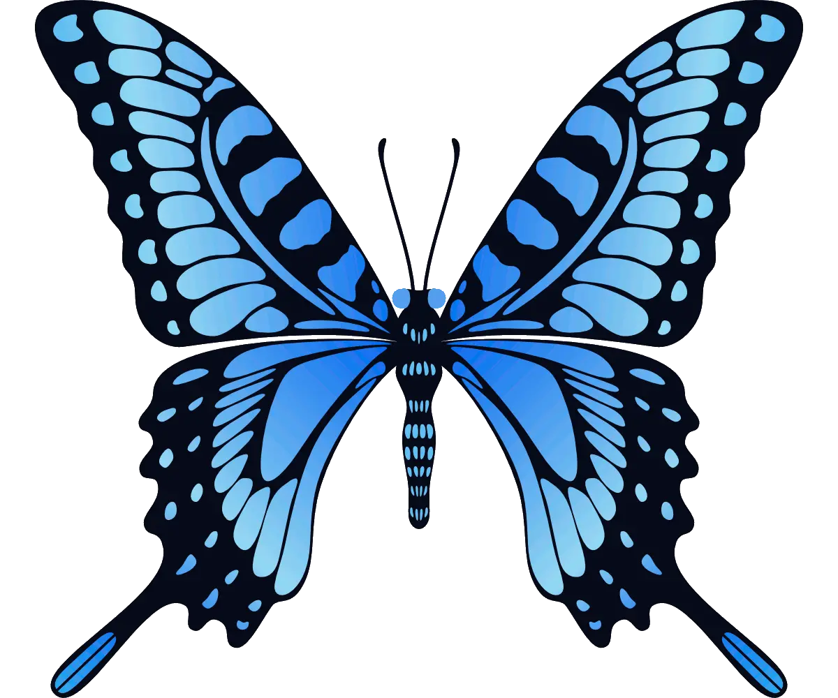 Butterfly Png Transparent Background Play Animated Gif Animation Butterfly Gif Butterfly Transparent png