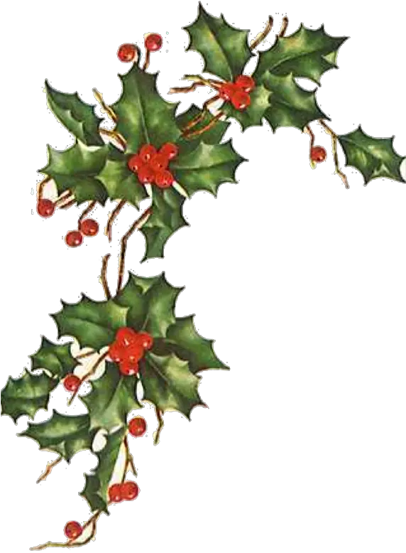 Christmas Ivy Png U0026 Free Ivypng Transparent Vintage Christmas Flower Png Ivy Png