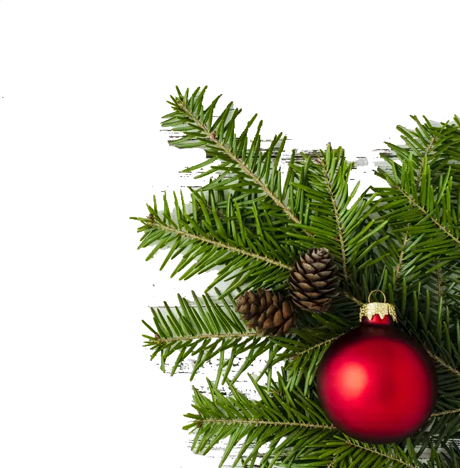 Christmas Border Vector Png Christmas Day Full Size Png Christmas Vector Border Png Christmas Vector Png png