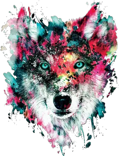 Wolf Face Colourful Png