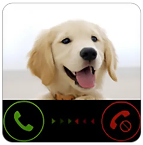 Fake Call From Dog Prank Funny Joke Golden Retriever Potty Training Png Funny Dog Png