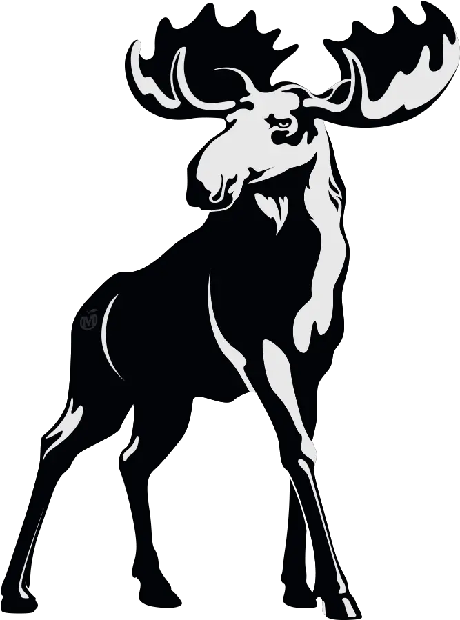 Follow The Moose Our Cider Black And White Moose Head Png Moose Png