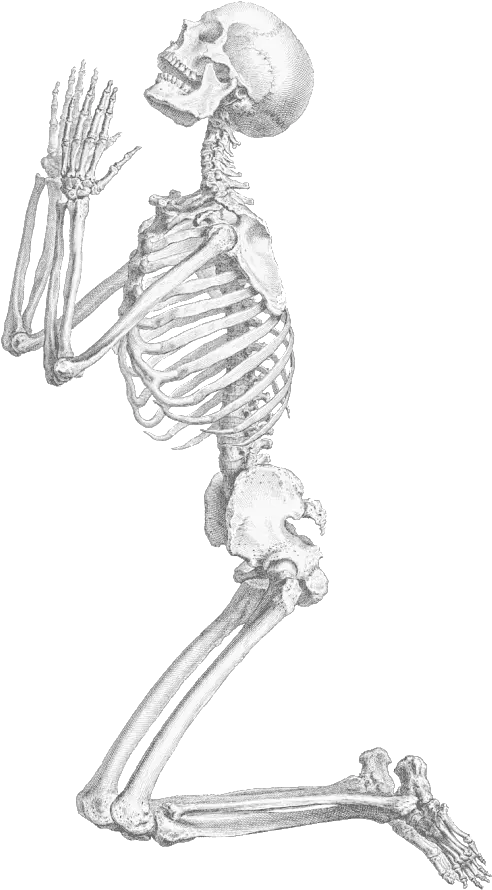 Halloween Skeleton Transparent Praying Skeleton Png Leg Transparent Background