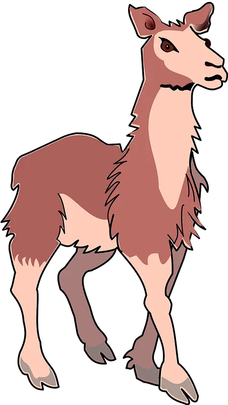 Clipart Desenho Colorido De Lhama Png Llama Png