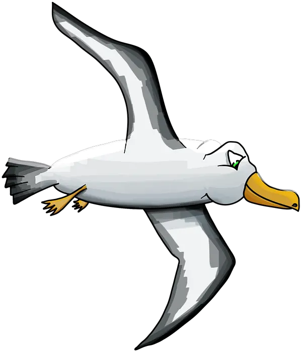 Albatross Bird Seagull Cartoon Albatross Png Seagull Png