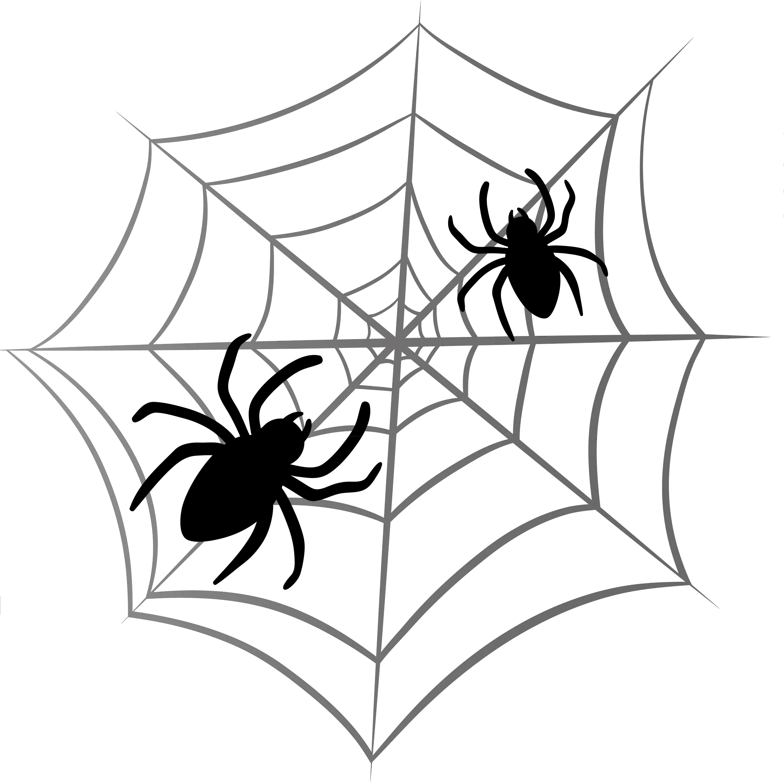Free Cobweb Png Download Clip Art Spider Web Drawing Cobweb Png
