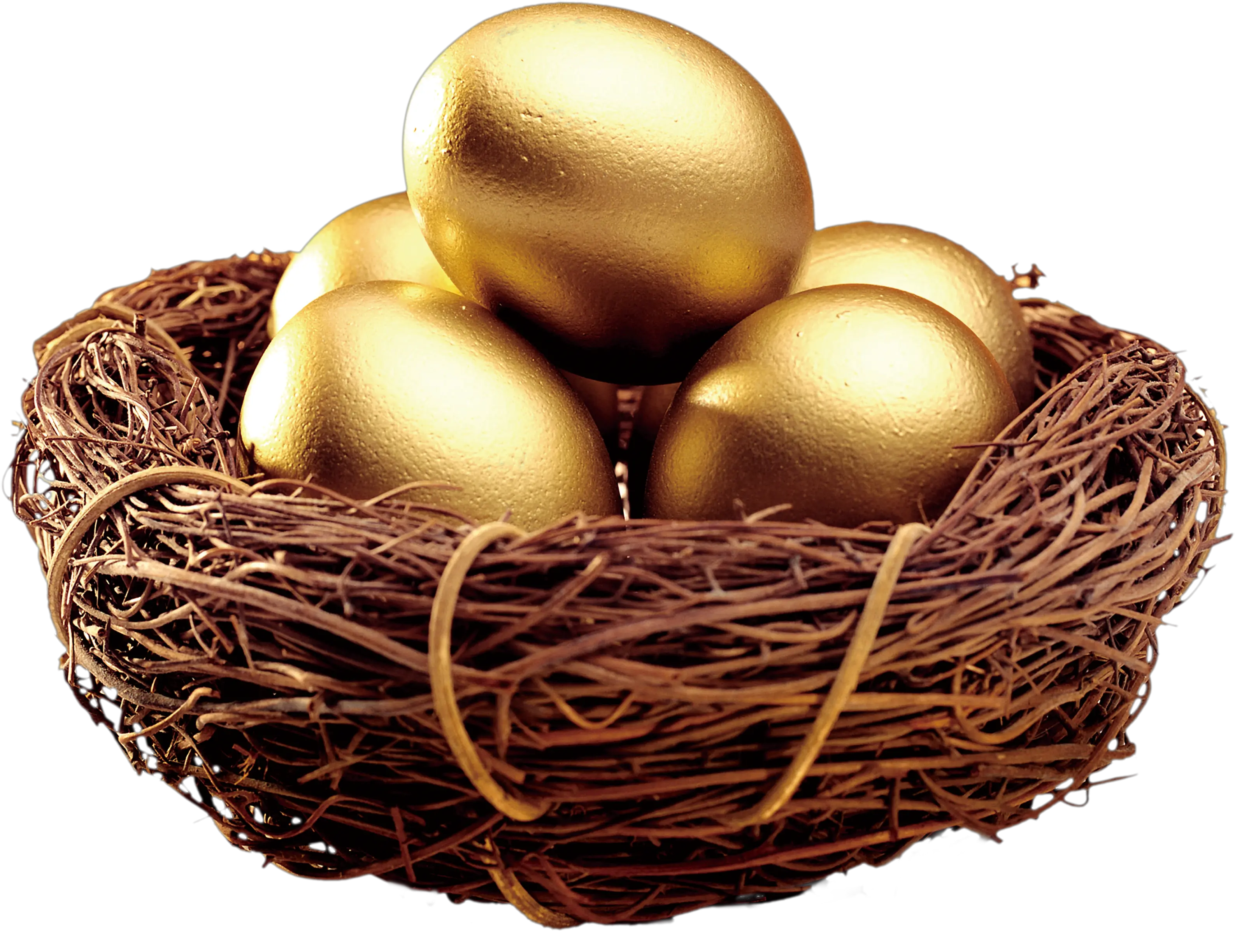 Nest Png Easter Egg Nest Transparent Png Nest Png