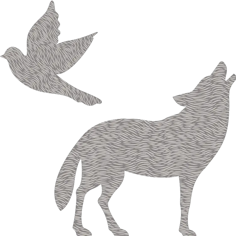 Contact U2014 Dove Wolf Bird Png Coyote Icon