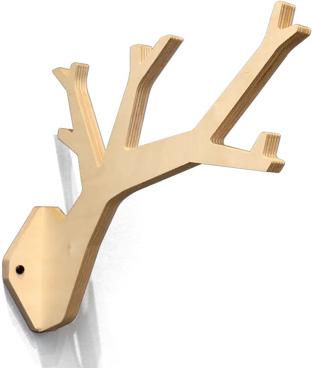 Twig Wood Png Twig Png