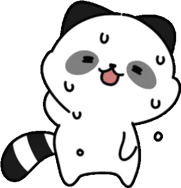 Raccoon Animal Sticker Raccoon Animal White Discover Dot Png Racoon Icon