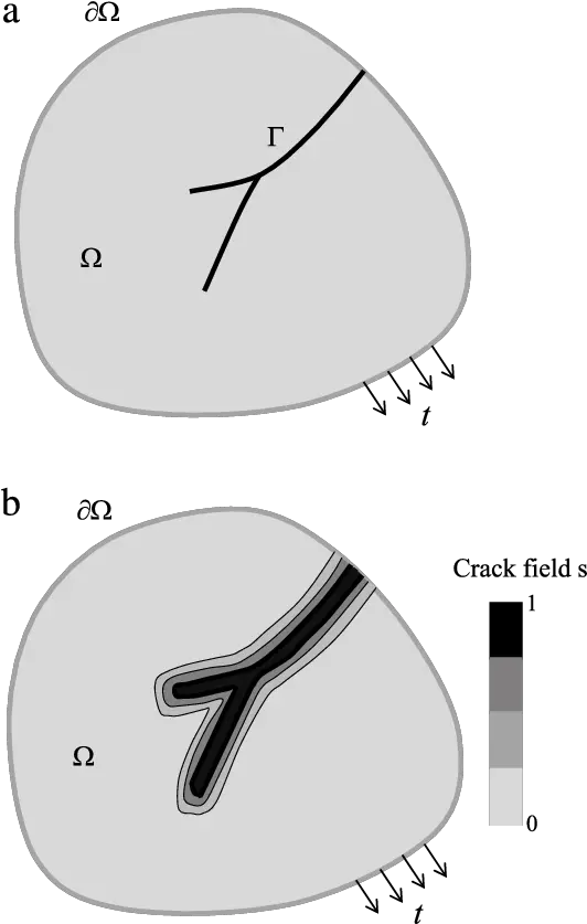 Schematic Illustration Of A Body Diagram Png Cracks Png