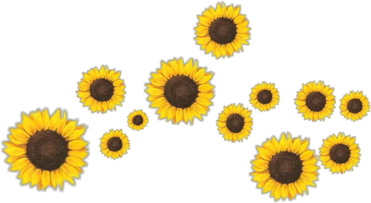 Girasol Clipart Girasol Clipart Png Girasol Png