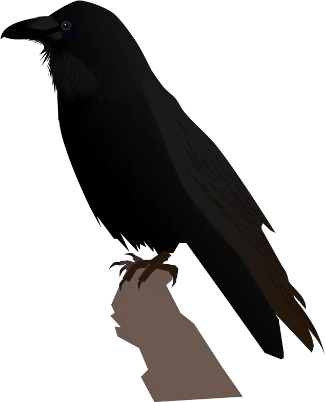 Common Raven Transparent Png Raven Svg Raven Transparent