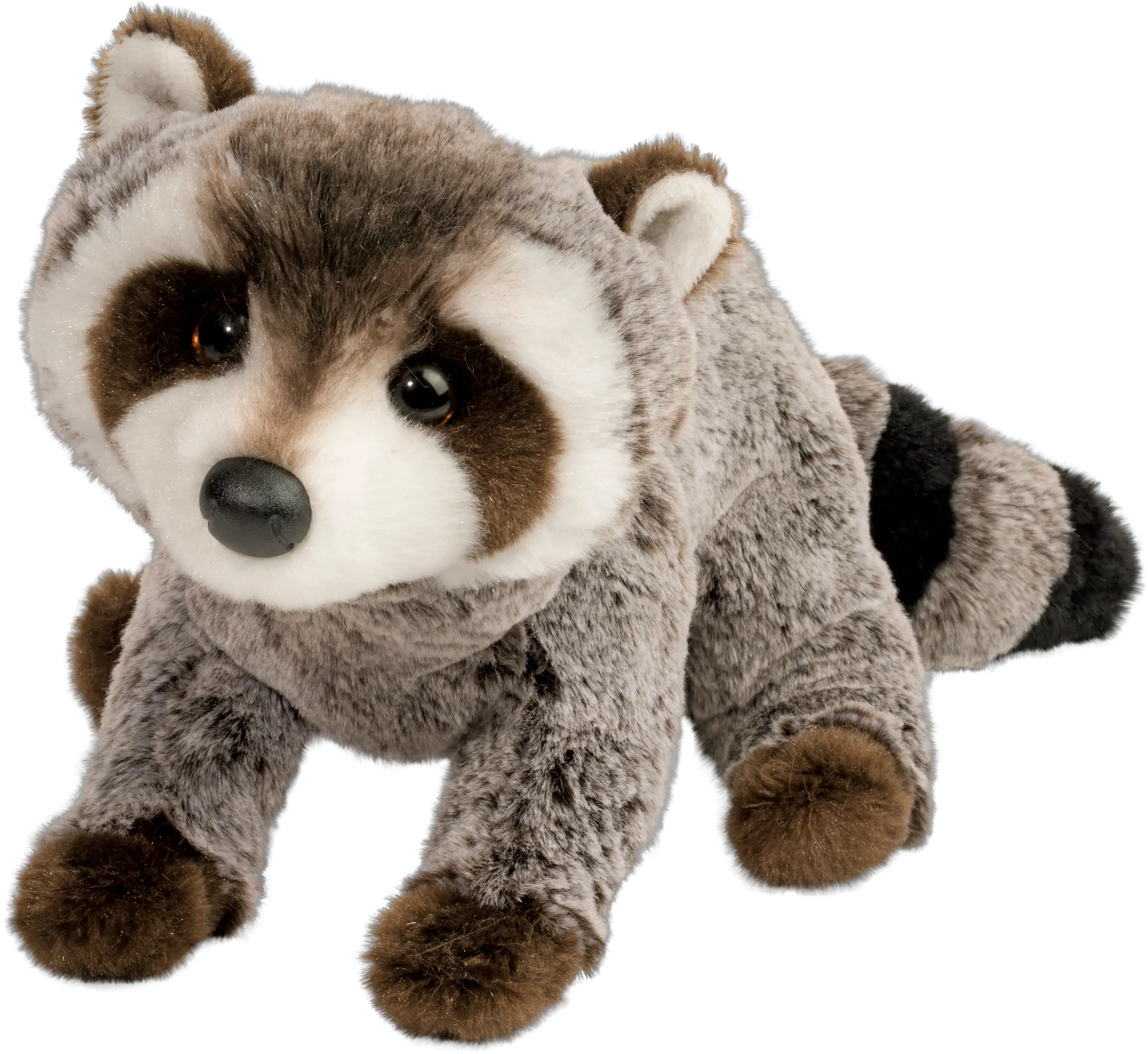 Douglas Ringo Raccoon Douglas Ringo Raccoon Png Racoon Png