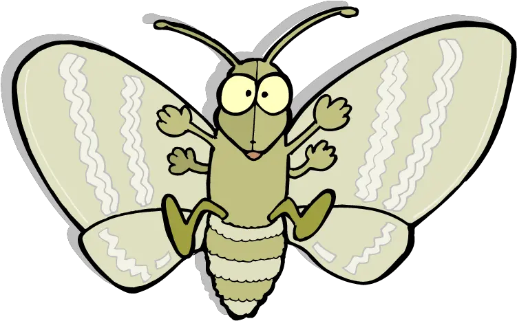 Download Moth Png Picture Moth Cartoon Png Moth Png