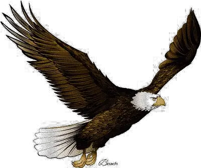 Flying Eagle Png Pic Arts Flying Eagle Image Png Golden Eagle Png