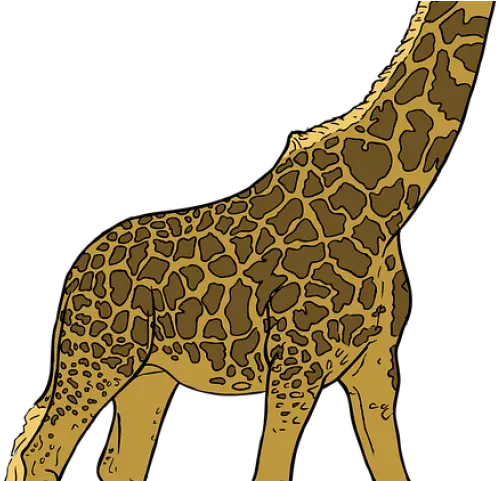 Mammal Clipart Giraffe Custom Giraffe Throw Blanket Png Giraffe Clip Art Blanket Png