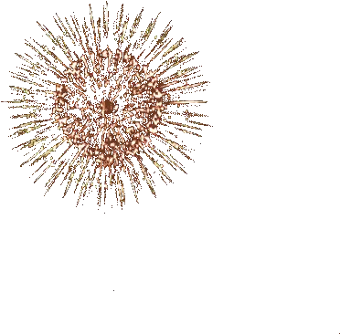 57 Fireworks Gifs Gif Abyss Fireworks Transparent Background Gif Png Fireworks With Transparent Background