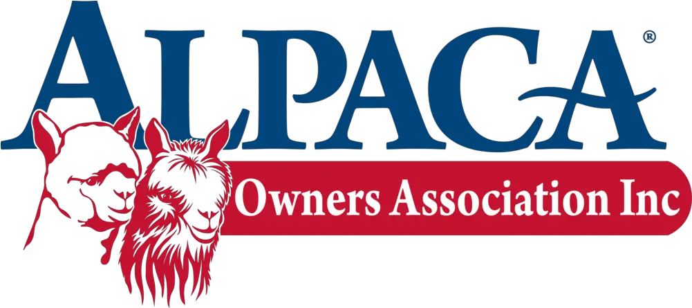 Alpaca Herd Management Routine River Town Mouse And The Country Png Alpaca Png