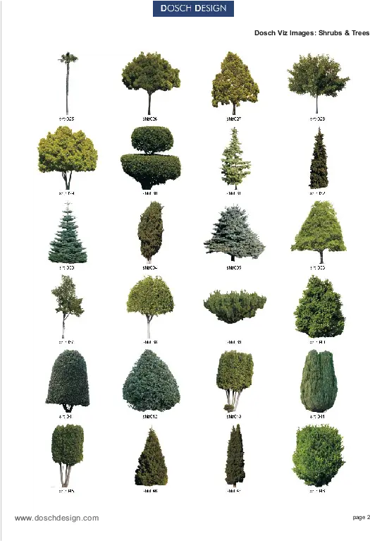 Dosch Design El Pino Es Un Arbol O Arbusto Png Shrubs Png