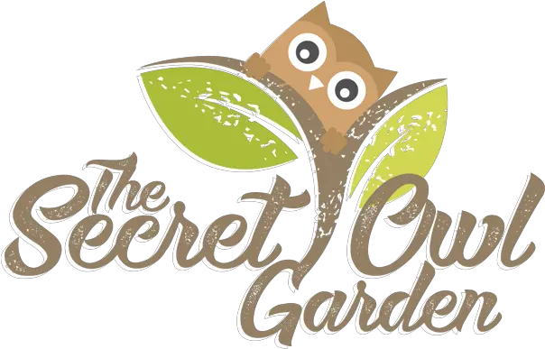 School Visits To The Secret Owl Garden Education Wales Illustration Png Owl Eyes Logo