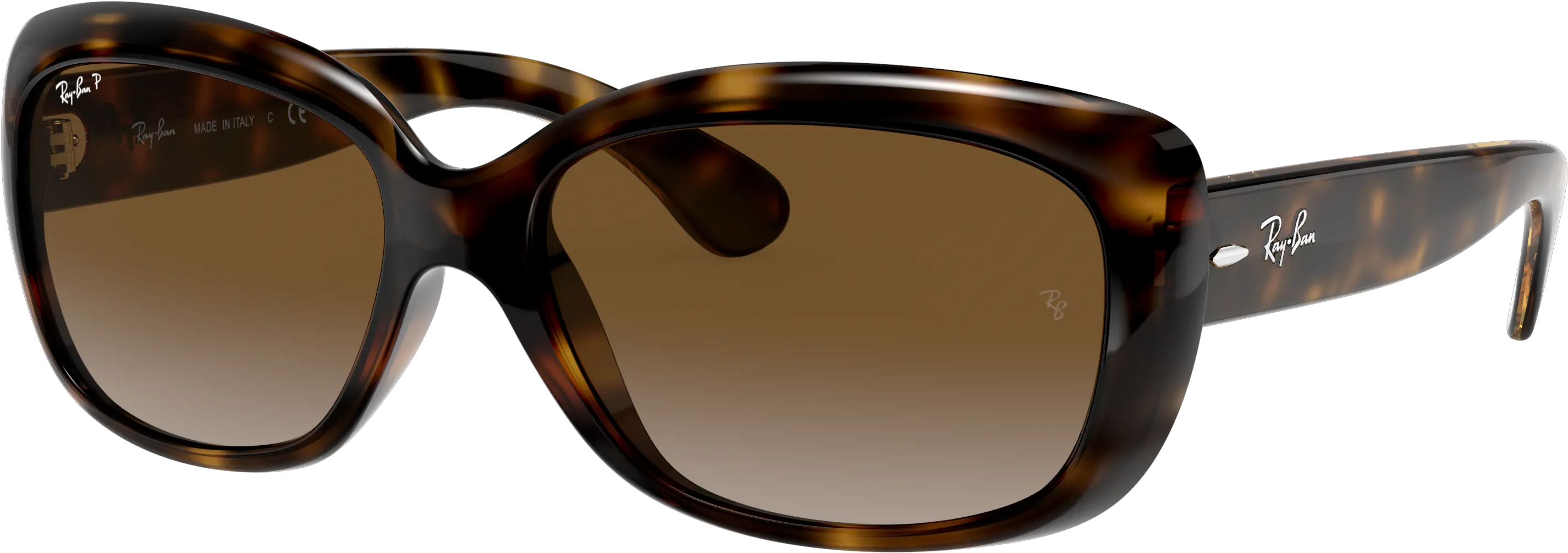 Check Out The Jackie Ohh Bancom Png Tortoise Svn Icon