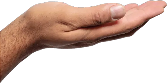 Hand Palm Up Png Picture Hand Palm Up Transparent Hand Palm Png