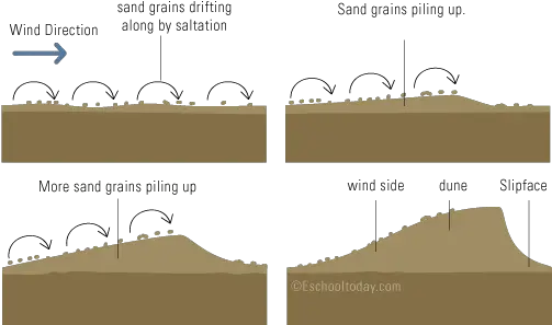 What Is A Sand Dune Landform Formation Of Sand Dunes Png Sand Dunes Png