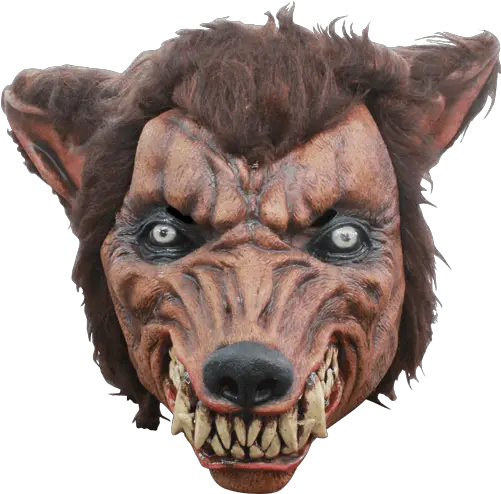 Wolf Dog Mask Transparent Png Stickpng Wolf Mask Png Wolf Transparent