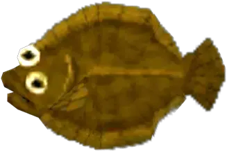 Mobile Animal Crossing Pocket Camp Olive Flounder The Sole Png Flounder Png