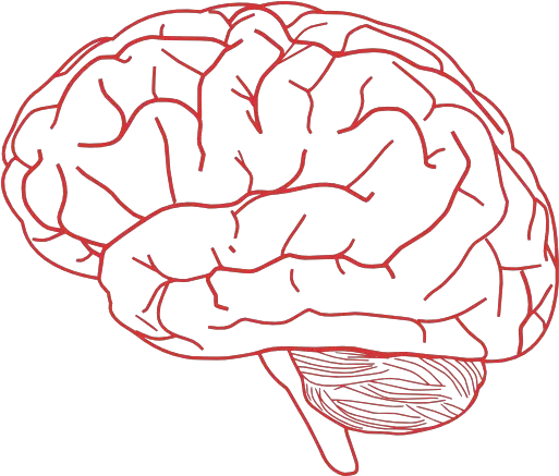 Free Brain Png Download Clip Art Brain Png Transparent Background Brain Clipart Transparent