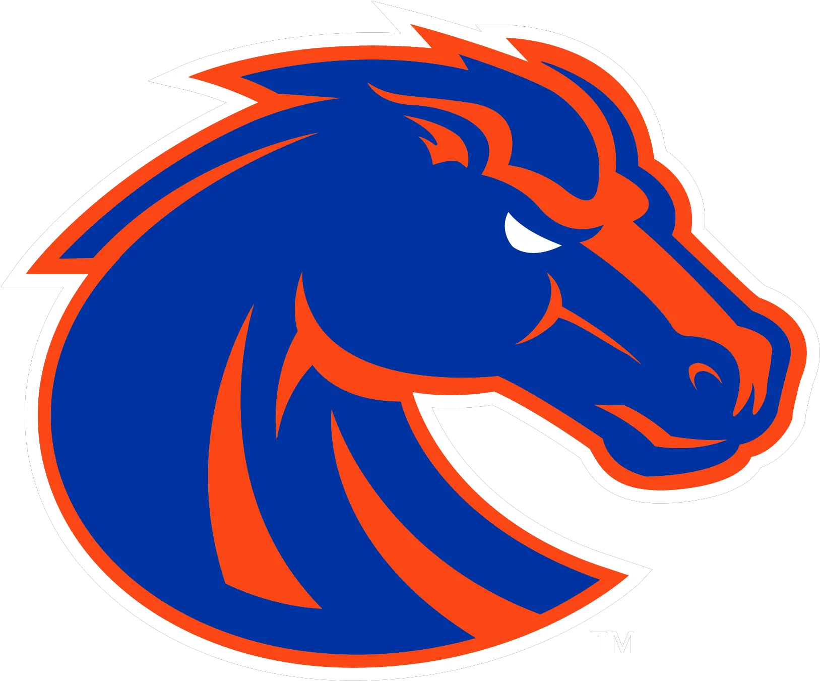 Albertsons Stadium Boise State Bronco Png Broncos Png