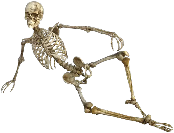 Transparent Skeleton Bones Kinky Wholesome Memes Png Bone Transparent Background