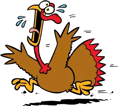 55 Running Turkey Clipart Clipartlook Running Turkey Clipart Png Turkey Transparent