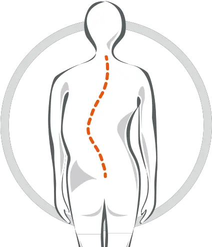 Spinecor U2014 Orthogait Scoliosis Limbs Centre Illustration Png Curve Png