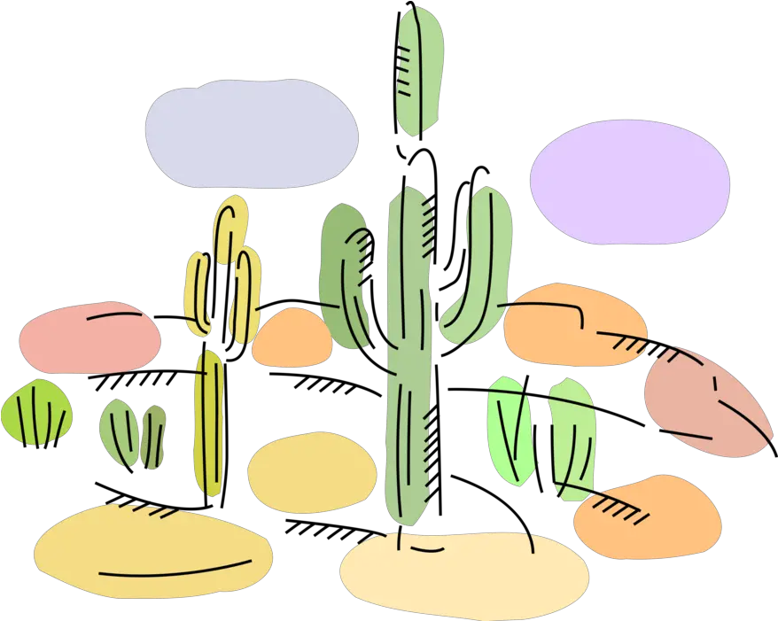 Download Desert Cactus Plant In Sonoran Sonoran Desert Illustration Png Desert Plant Png