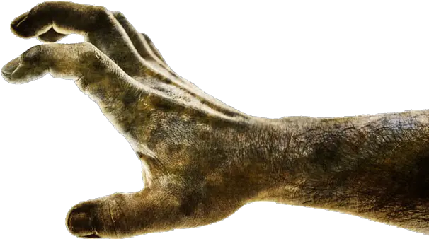 Zombie Hand Png 7 Image Transparent Zombie Hand Png Zombie Hands Png