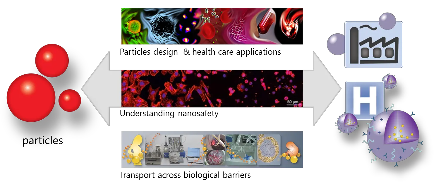 Empa Particlesbiology Interactions Overview Horizontal Png Particles Transparent