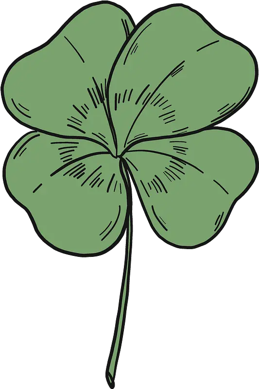 4 Leaf Clover Clipart Free Download Transparent Png Gilliflower 4 Leaf Clover Png